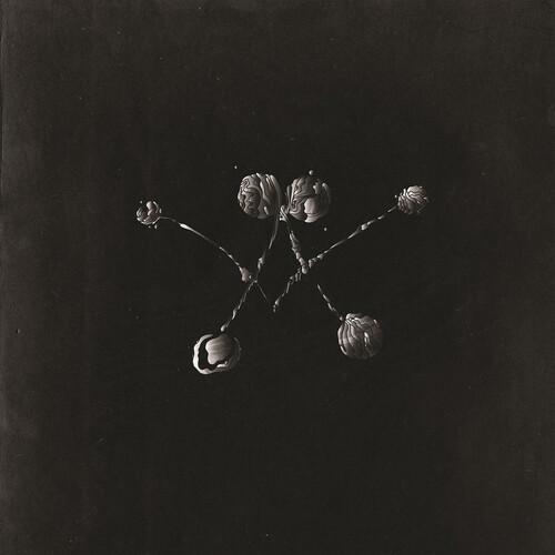 WATERSTRIDER - NOWHERE NOW Vinyl LP