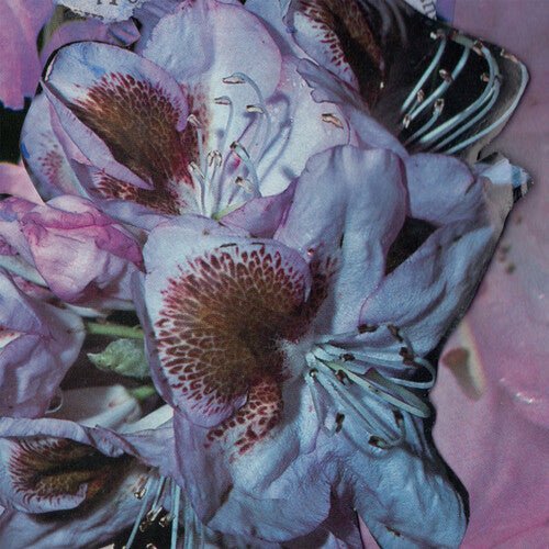 WINTER,TERESA - PROSERPINE Vinyl LP