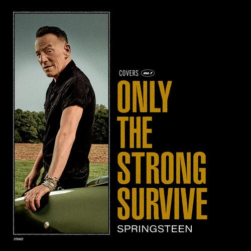 SPRINGSTEEN,BRUCE - ONLY THE STRONG SURVIVE Vinyl LP