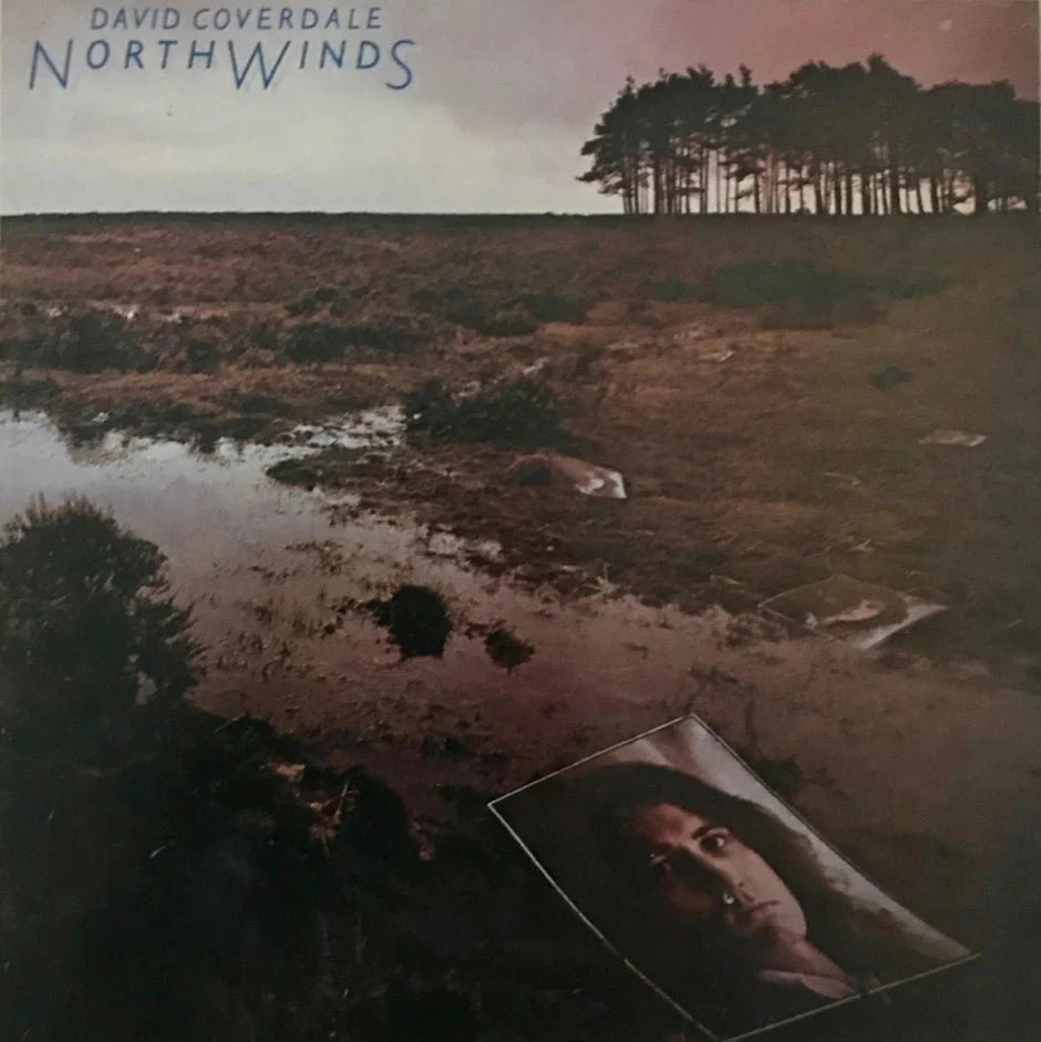 WHITESNAKE - NORTHWINDS Vinyl LP