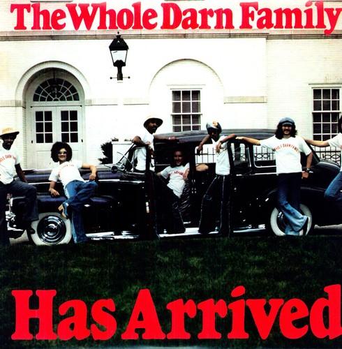 WHOLE DARN FAMILY - HAS ARRIVED Vinyl LP