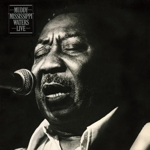WATERS,MUDDY - MUDDY 'MISSISSIPPI' WATERS-LIVE Vinyl LP