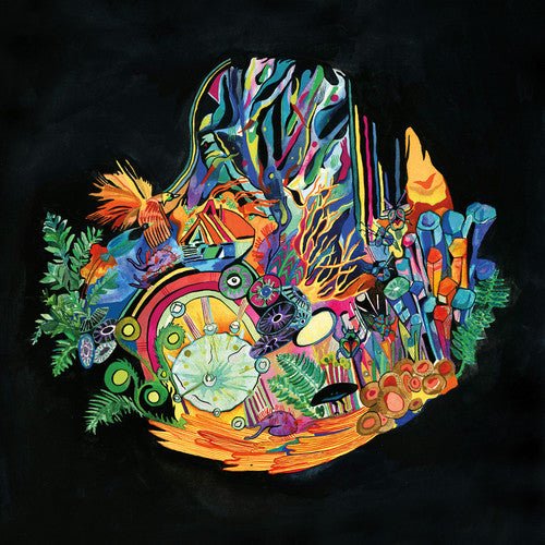 SMITH,KAITLYN AURELIA - EARS Vinyl LP