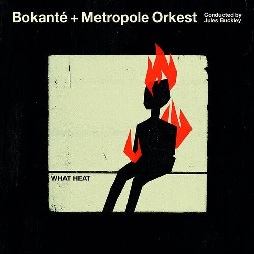 BOKANTE - WHAT HEAT Vinyl LP