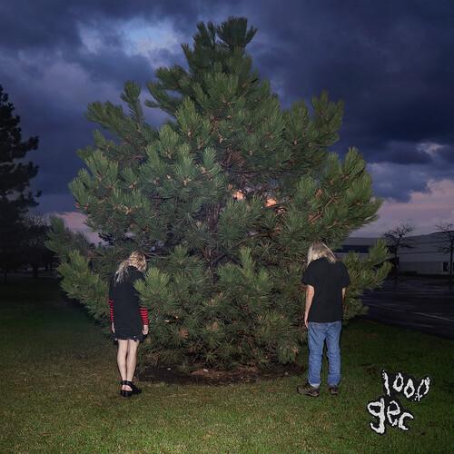 100 GECS - 1000 GECS Vinyl LP