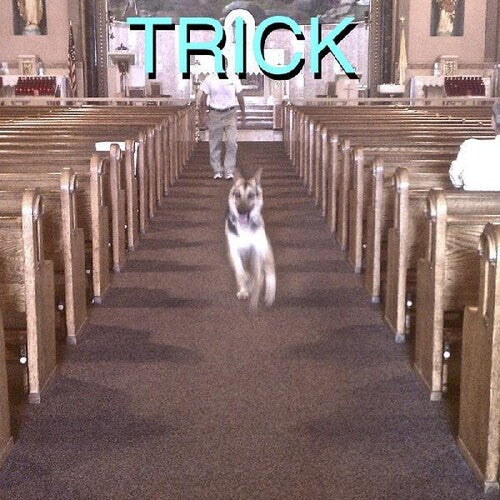 ALEX G - TRICK Vinyl LP