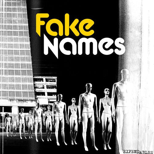 FAKE NAMES - EXPENDABLES Vinyl LP