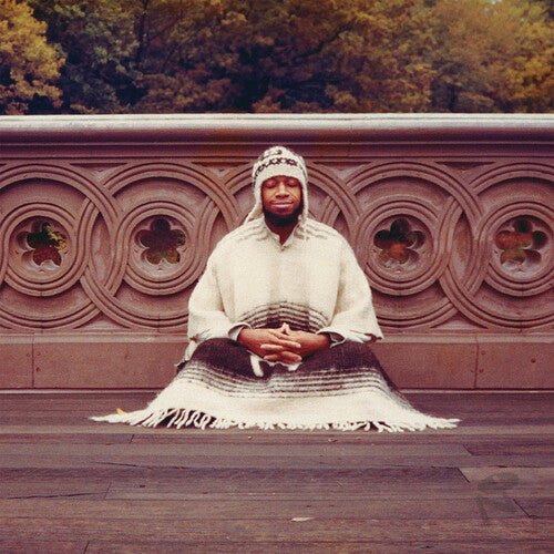LARAAJI - SEGUE TO INFINITY Vinyl LP
