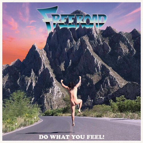 FREEROAD - DO WHAT YOU FEEL! Vinyl LP