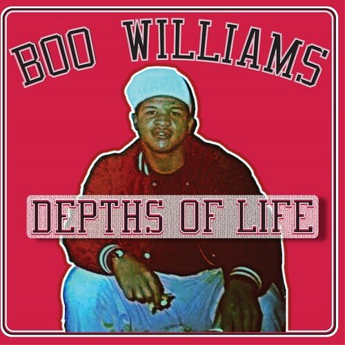 WILLIAMS,BOO - FAMILY AFFAIR VOL. 1 / VARIOUS Vinyl LP