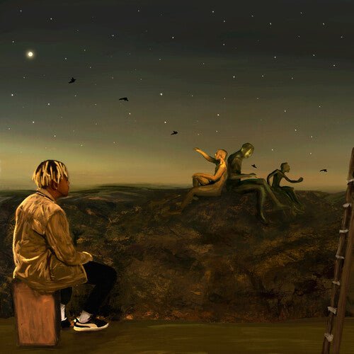 CORDAE - FROM A BIRDS EYE VIEW Vinyl LP