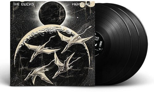 DUCKS - HIGH FLYIN Vinyl LP