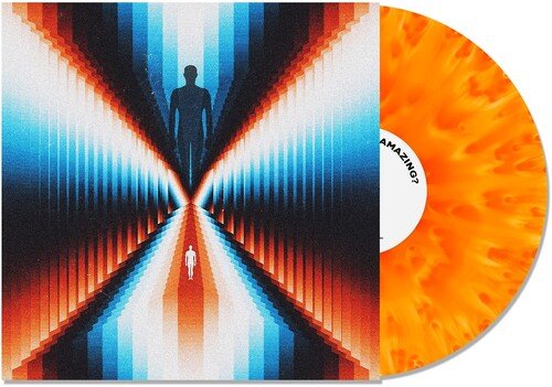 TRASH BOAT - DON'T YOU FEEL AMAZING? Vinyl LP