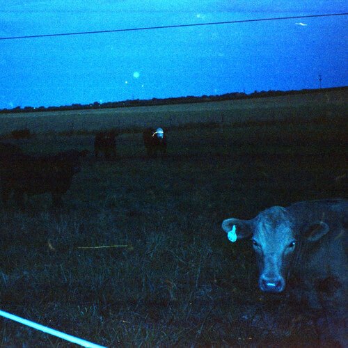 WAVEFORM* - ANTARCTICA - DARK BLUE Vinyl LP