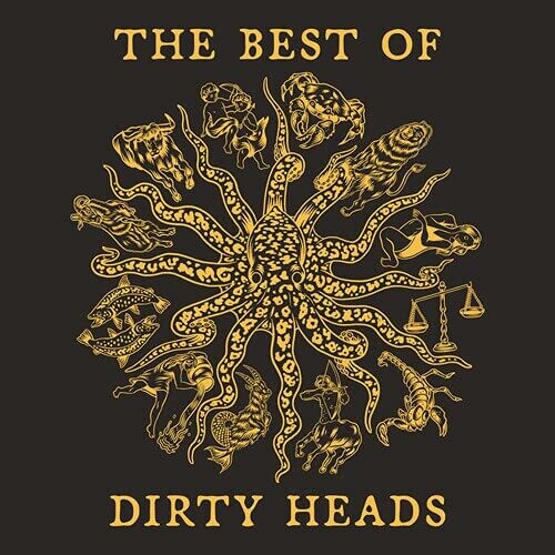 DIRTY HEADS - BEST OF DIRTY HEADS Vinyl LP