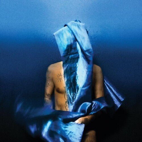 BANHART,DEVENDRA - FLYING WIG Vinyl LP