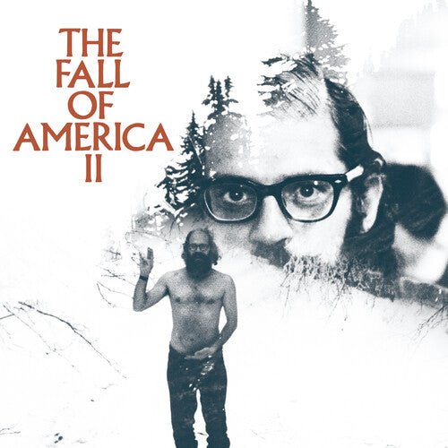 ALLEN GINSBERG'S THE FALL OF AMERICA VOL. 2 / VAR Vinyl LP