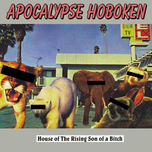 APOCALYPSE HOBOKEN - HOUSE OF THE RISING SON OF A BITCH - SILVER Vinyl LP