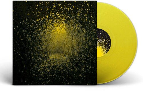 ANTLERS - BURST APART Vinyl LP