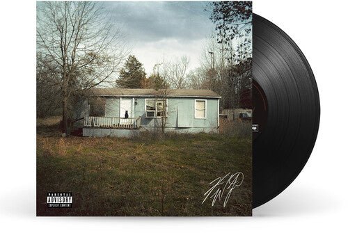WETZEL,KOE - 9 LIVES Vinyl LP