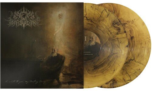WAKE IN PROVIDENCE - WRITE TO YOU MY DARLING DECAY Vinyl LP