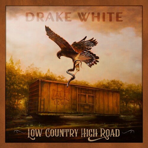 WHITE,DRAKE - LOW COUNTRY HIGH ROAD Vinyl LP