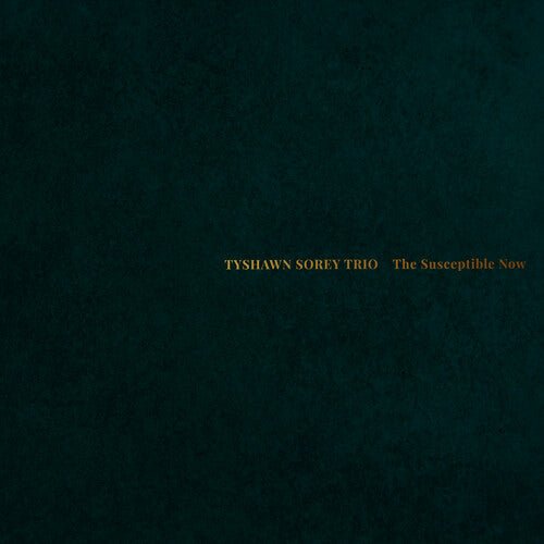 TYSHAWN SOREY TRIO - SUSCEPTIBLE NOW Vinyl LP
