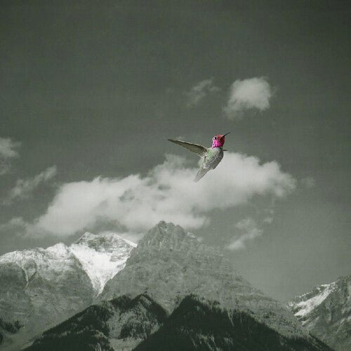 BARDO POND - MELT AWAY Vinyl LP