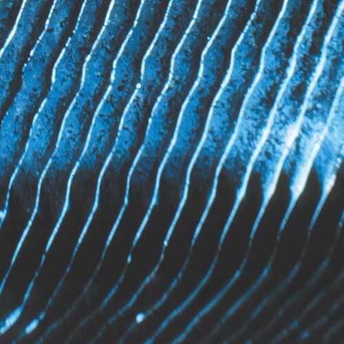 Monolake: Gravity