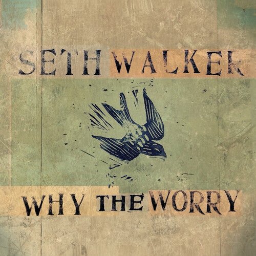 WALKER,SETH - WHY THE WORRY Vinyl LP