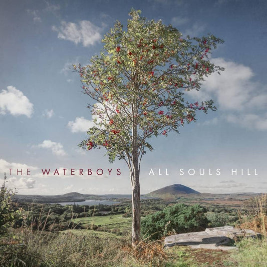 WATERBOYS - ALL SOULS HILL Vinyl LP
